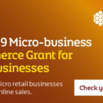 WEB SERVICES WHICH WON’T COST YOU A PENNY Micro-business e-commerce grant (MBEG)